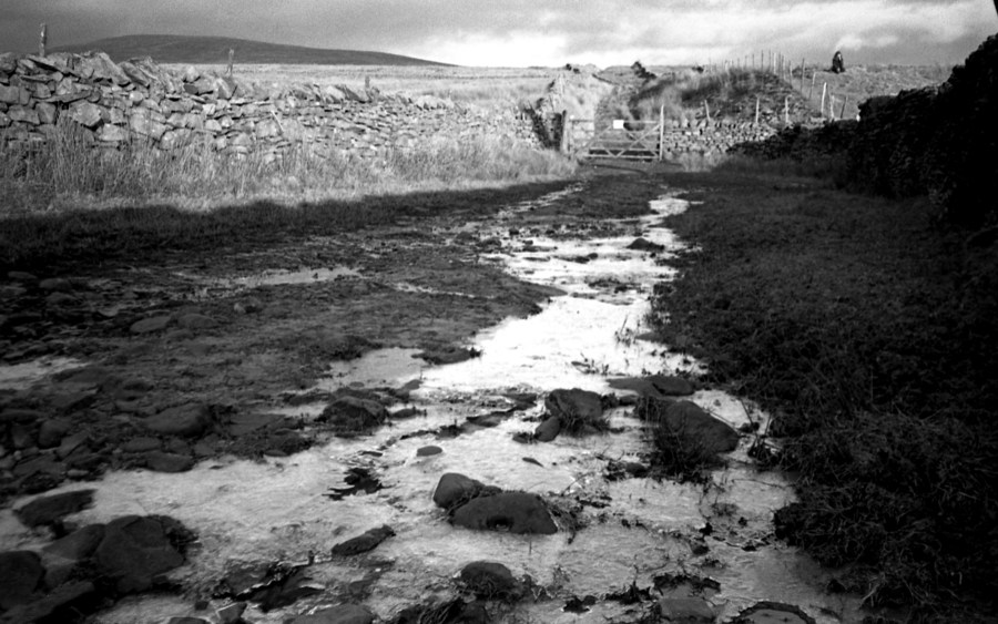 2012-02-19-JarvistFrost-OlympusXA-RolleiRetro100-Rodinal1p50-BullpotFarm10