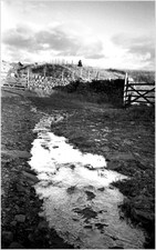 2012-02-19-JarvistFrost-OlympusXA-RolleiRetro100-Rodinal1p50-BullpotFarm11