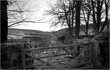 2012-02-19-JarvistFrost-OlympusXA-RolleiRetro100-Rodinal1p50-BullpotFarm12