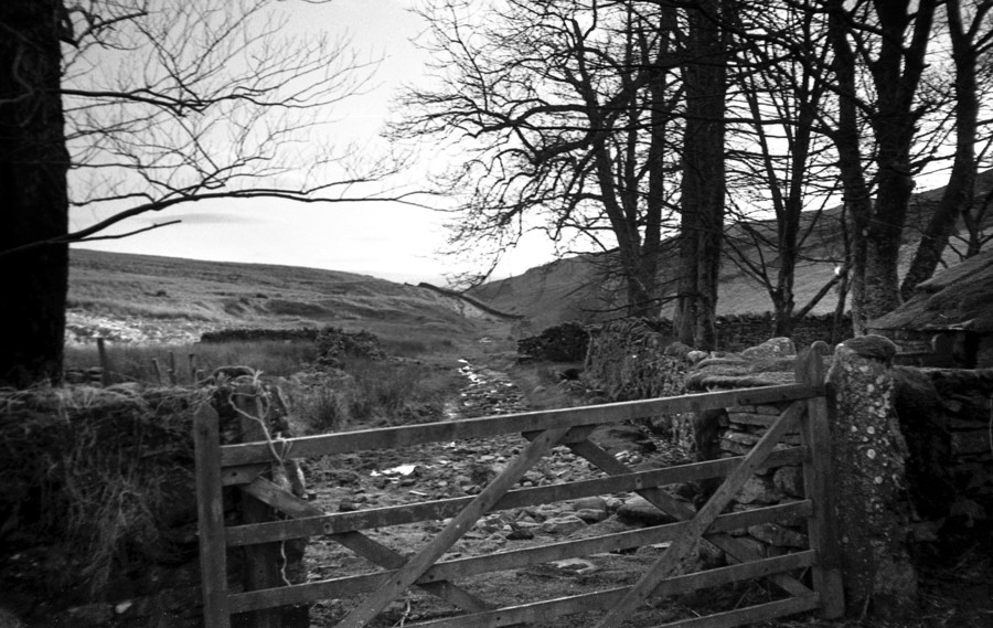 2012-02-19-JarvistFrost-OlympusXA-RolleiRetro100-Rodinal1p50-BullpotFarm12