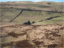 kate smith-canon s95-IMG_0463