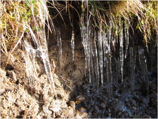 kate smith-canon s95-IMG_0472