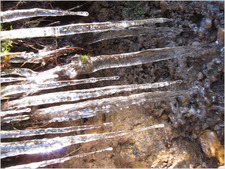 kate smith-canon s95-IMG_0474