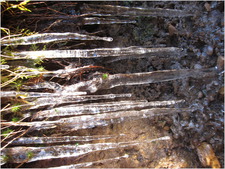 kate smith-canon s95-IMG_0475