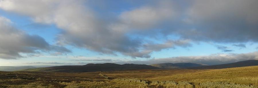 AlietteBoshier_20141130_142937