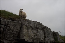 Jarvist Moore Frost -DSC00938