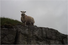 Jarvist Moore Frost -DSC00939