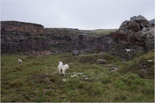 Jarvist Moore Frost -DSC00940