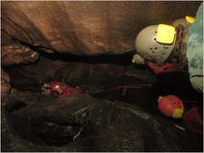 Jarvist Moore Frost -IMG_6929