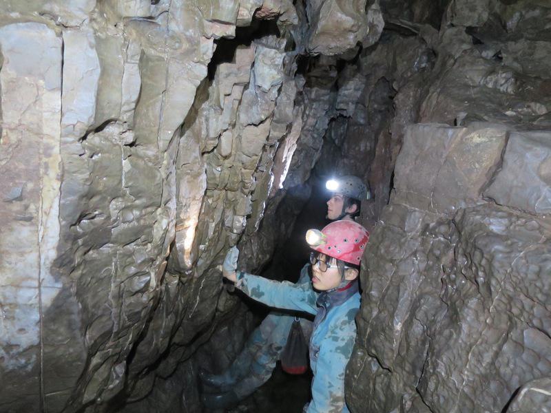 jack_wales_I_2015 (1)