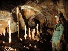 jack_wales_I_2015 (17)