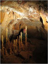 jack_wales_I_2015 (19)