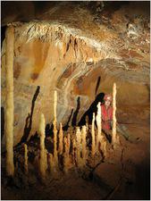 jack_wales_I_2015 (23)