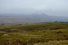 TanguyRacine-DSC_0616