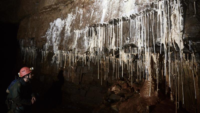 TanguyRacine-DSC_0796