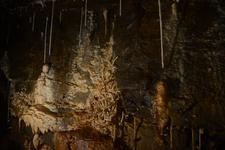 TanguyRacine-DSC_0799