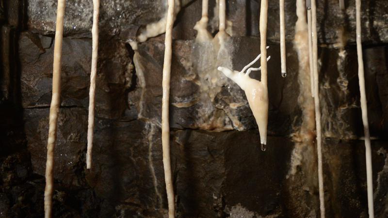 TanguyRacine-DSC_0807