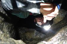 2016-09-24_11h29m-RhysTyers-SonyRX100III-LargePot-DSC03010