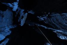 2016-09-24_11h58m-RhysTyers-SonyRX100III-LargePot-DSC03011