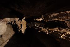 2016-09-24_12h00m-RhysTyers-SonyRX100III-LargePot-DSC03014