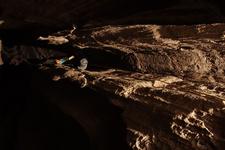 2016-09-24_12h00m-RhysTyers-SonyRX100III-LargePot-DSC03015