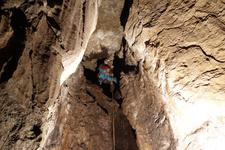 2016-09-24_12h07m-RhysTyers-SonyRX100III-LargePot-DSC03021