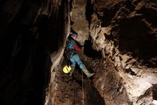 2016-09-24_12h08m-RhysTyers-SonyRX100III-LargePot-DSC03028