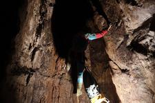 2016-09-24_12h08m-RhysTyers-SonyRX100III-LargePot-DSC03032