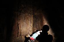 2016-09-24_12h08m-RhysTyers-SonyRX100III-LargePot-DSC03034