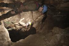 2016-09-24_13h27m-RhysTyers-SonyRX100III-LargePot-DSC03041