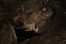 2016-09-24_13h29m-RhysTyers-SonyRX100III-LargePot-DSC03044