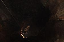 2016-09-24_14h02m-RhysTyers-SonyRX100III-LargePot-DSC03076