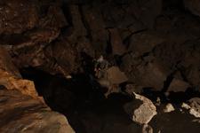 2016-09-24_14h15m-RhysTyers-SonyRX100III-LargePot-DSC03078