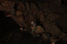 2016-09-24_14h15m-RhysTyers-SonyRX100III-LargePot-DSC03079