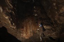 2016-09-24_14h17m-RhysTyers-SonyRX100III-LargePot-DSC03080