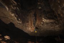 2016-09-24_14h17m-RhysTyers-SonyRX100III-LargePot-DSC03081