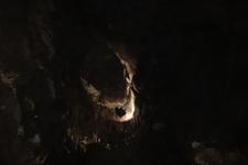 2016-09-24_14h26m-RhysTyers-SonyRX100III-LargePot-DSC03084