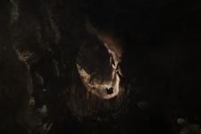 2016-09-24_14h27m-RhysTyers-SonyRX100III-LargePot-DSC03092