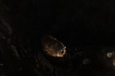 2016-09-24_14h29m-RhysTyers-SonyRX100III-LargePot-DSC03095