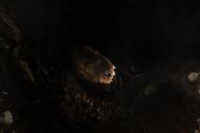 2016-09-24_14h30m-RhysTyers-SonyRX100III-LargePot-DSC03097