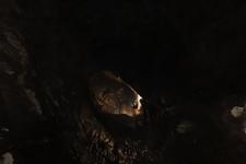 2016-09-24_14h30m-RhysTyers-SonyRX100III-LargePot-DSC03100