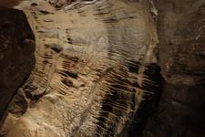 2016-09-24_14h45m-RhysTyers-SonyRX100III-LargePot-DSC03101