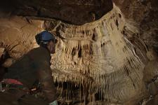 2016-09-24_14h46m-RhysTyers-SonyRX100III-LargePot-DSC03106