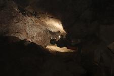 2016-09-24_14h47m-RhysTyers-SonyRX100III-LargePot-DSC03110