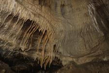 2016-09-24_14h49m-RhysTyers-SonyRX100III-LargePot-DSC03123