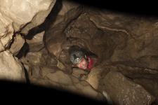 2016-09-24_15h26m-RhysTyers-SonyRX100III-LargePot-DSC03125