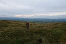 2016-09-24_16h52m-RhysTyers-SonyRX100III-LargePot-DSC03132