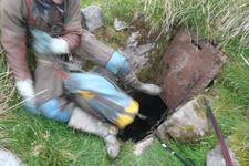 2016-09-24_16h54m-RhysTyers-SonyRX100III-LargePot-DSC03139