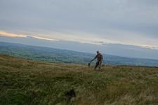 2016-09-24_17h03m-RhysTyers-SonyRX100III-LargePot-DSC03151