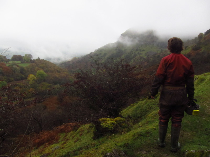 2016-10-29_13h38m-BenHonan-PowerShotS95-AgenAllwedd-IMG_0162